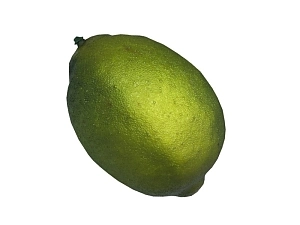 Муляж «Лайм» — натуральный цвет