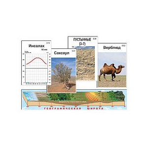 Модель-аппликация природных зон Земли