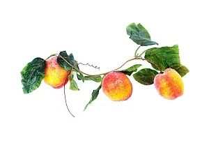 Декоративная ветвь «Персики» с восковым покрытием