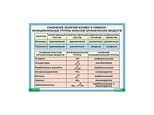 Сравнительная таблица «Изомер — Гомолог» для кабинета
