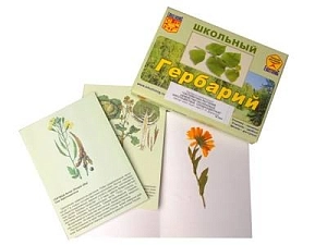 Гербарий «Систематика растений» ЭДГ-8664 — раздаточный, 10 листов