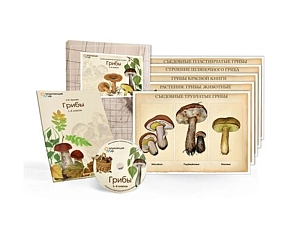 Пособие «Грибы» — учебный CD плюс 10 плакатов
