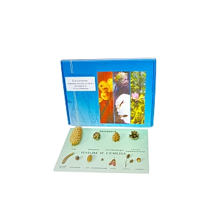 Набор демонстрационных коллекций растительного материала