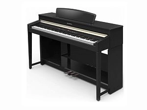 Цифровое пианино Курцвейл Анданте Kurzweil Andante CUP110 BP
