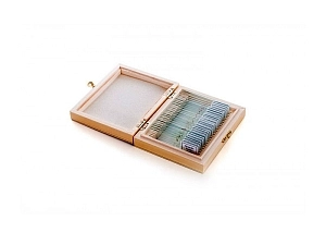 Микропрепараты Velvi "Ботаника" — комплект из 25 образцов