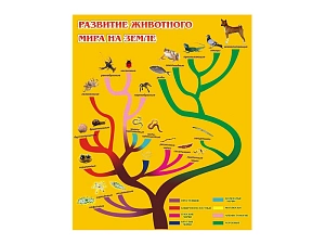 Стенд Развитие животного мира на земле