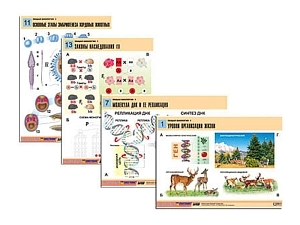 Таблицы по биологии Общая биология-1, 16 шт.