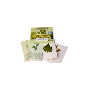 Гербарий ПРШ-014 «Высшие споровые и семенные»