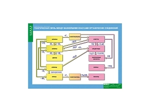 Стенд "Генетическая связь между классами органики"