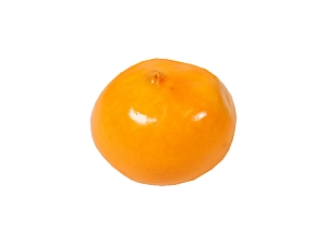 Муляж Репа компактный