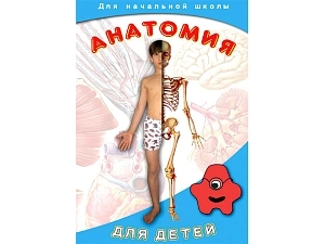 Анатомия для детей — DVD‑пособие ЭДГ-7029