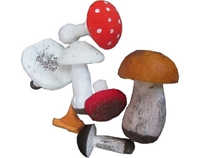 Муляжи грибов: съедобные и ядовитые (7 предметов)