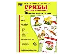 Карточный набор «Грибы» — 16 демонстрационных картинок