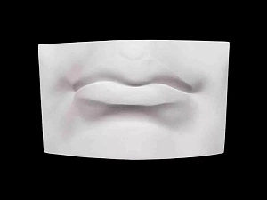 Гипсовая модель губ человека, увеличенная