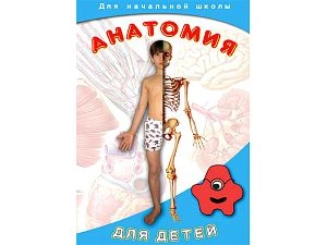 DVD-диск Анатомия для детей