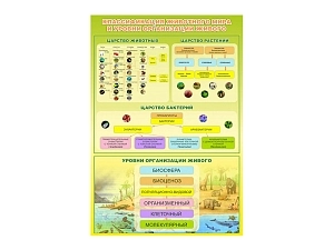 Стенд Классификация животного мира