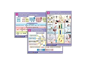 Реакции органических веществ, формат A1