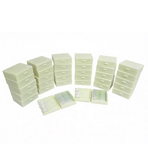 Набор зоологических микропрепаратов — 32 вида, 640 шт.