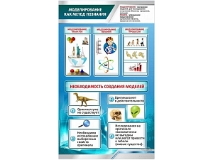 Обучающий стенд: Моделирование как метод познания 600×1000 мм