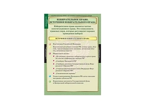 Набор плакатов «Избирательное право» — 10 демонстраций