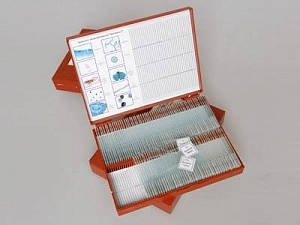 Микропрепараты Ботаника 1 — набор для уроков (110 экз.)