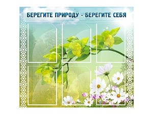 Стенд Берегите природу - берегите себя