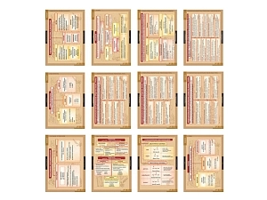 Учебный альбом "Теория литературы" — 20 таблиц 68х98