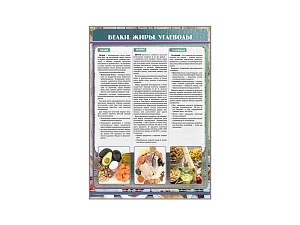 Стенд "Белки. Жиры. Углеводы" белый профиль