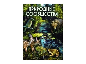 Образовательный CD «Природные сообщества» (MP4)