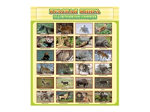 Стенд Красная книга - Млекопитающие