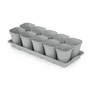 Комплект для рассады 10 шт. + поддон