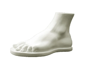 Гипсовая модель «Стопа Геракла»