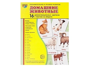 Набор карточек «Домашние животные» — демонстрация и раздатки