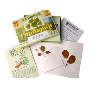 Гербарий: семейство Розоцветные — 10 образцов