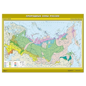 Карта Природные зоны России (Начальная школа)