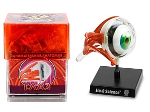 Набор Профессор Эйн: Глаз