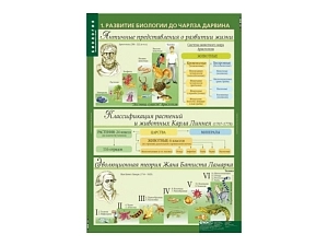 Набор таблиц «Биология 10-11 классы. Эволюционное учение» 10 шт.