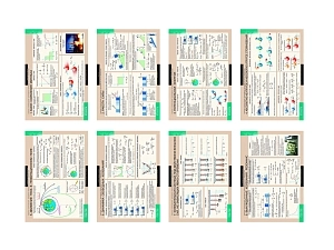Динамика периодических движений — 8 обучающих плакатов
