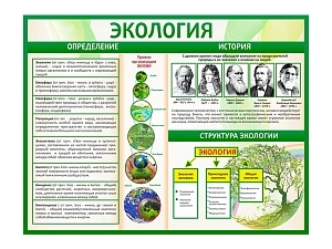 Стенд Экология 130х100 см