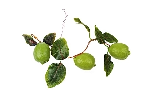 Муляжная ветвь "Лайм"