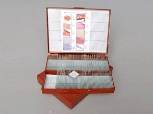 Микропрепараты "Анатомия" — учебный набор 110 шт.