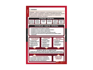 Комплект учебных таблиц «ОБЖ — Гигиена» 68×98 см