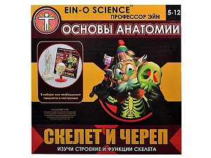 Набор Профессор Эйн: Скелет и череп
