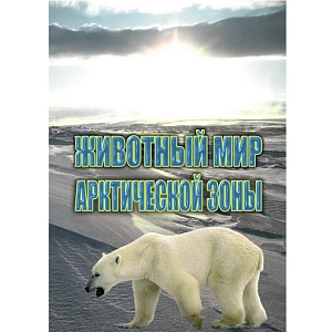 Учебный фильм «Животный мир Арктической зоны»