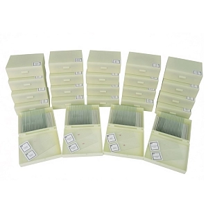 Набор микропрепаратов «Анатомия‑проф» для 20 учащихся