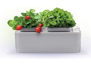 iGarden НАИ-G2018 — компактный гидропонный мини-сад