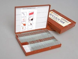 Комплект микропрепаратов «Зоология» — 100 шт.