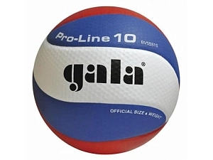 Gala Pro-line — волейбольный мяч, размер 5