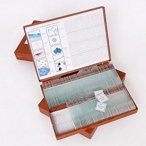 Микропрепараты «Ботаника 2» — учебный набор 110 шт.