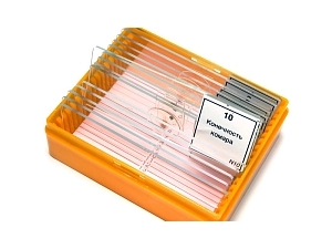 Микропрепараты N10 NG для учебных исследований